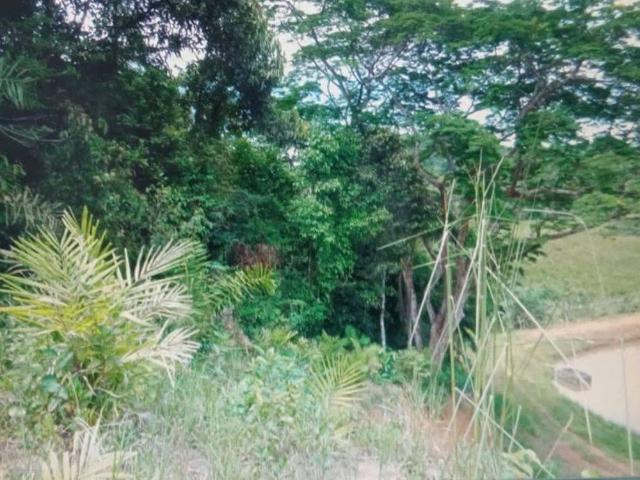 Terreno / Lote para Venda em Juquiá/SP Zona Rural