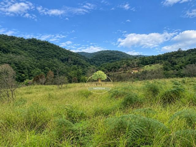 Terreno / Lote para Venda em Juquitiba/SP Zona Rural
