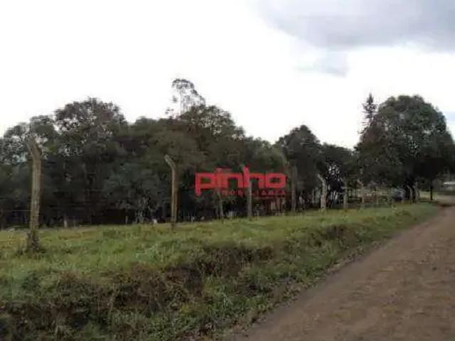 Terreno / Lote para Venda em Lages/SC Caroba