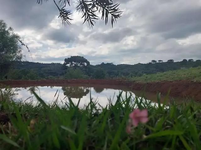 Terreno / Lote para Venda em Lages/SC Santa Terezinha do Salto