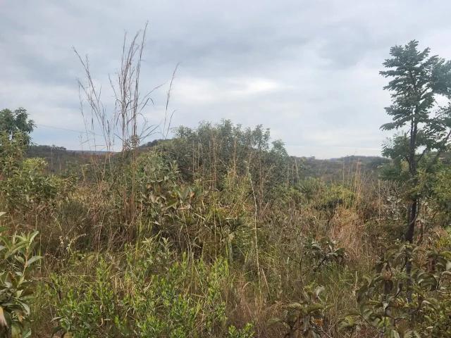 Terreno / Lote para Venda em Lago Sul/DF Altiplano Leste