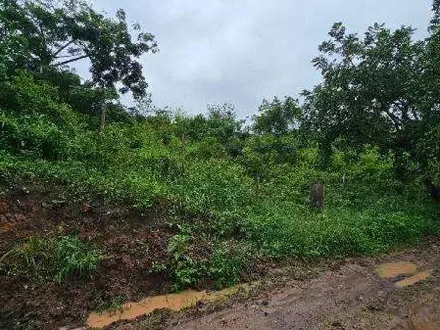 Terreno / Lote para Venda em Lagoa do Carro/PE Loteamento Recanto Carpina