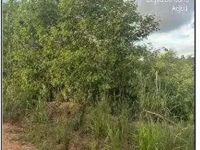 Terreno / Lote para Venda em Lagoa do Carro/PE Loteamento Recanto Carpina