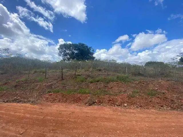 Terreno / Lote para Venda em Lagoa do Carro/PE Loteamento Recanto Carpina
