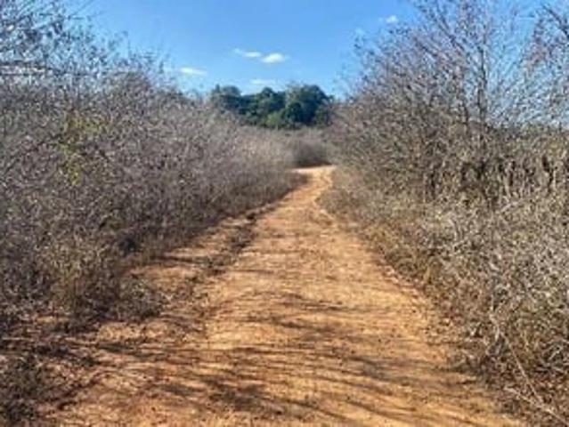 Terreno / Lote para Venda em Lagoa do Carro/PE Loteamento Recanto Carpina