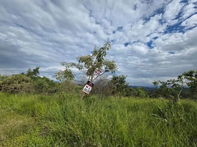 Terreno / Lote para Venda em Lagoa Santa/MG Condomínio Real Garden