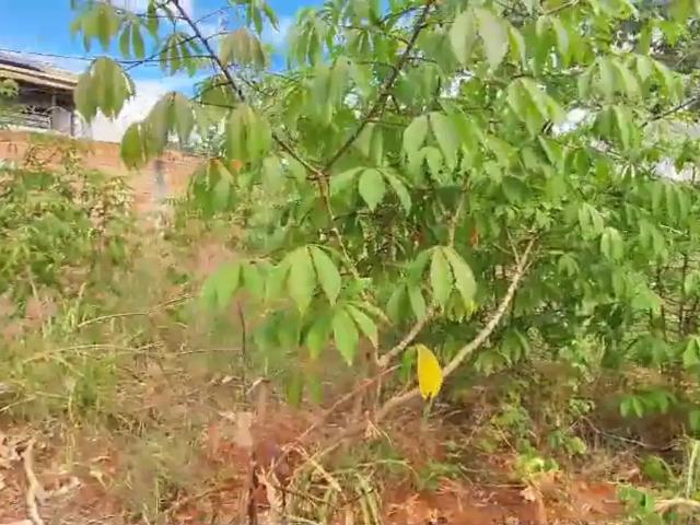 Terreno / Lote para Venda em Lagoa Santa/MG Joá