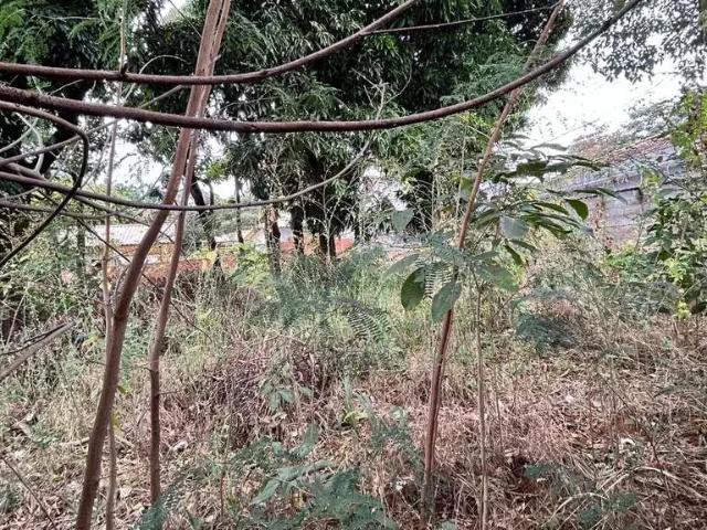 Terreno / Lote para Venda em Lagoa Santa/MG Joá