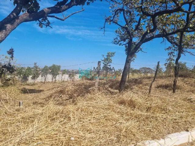 Terreno / Lote para Venda em Lagoa Santa/MG Joana Marques