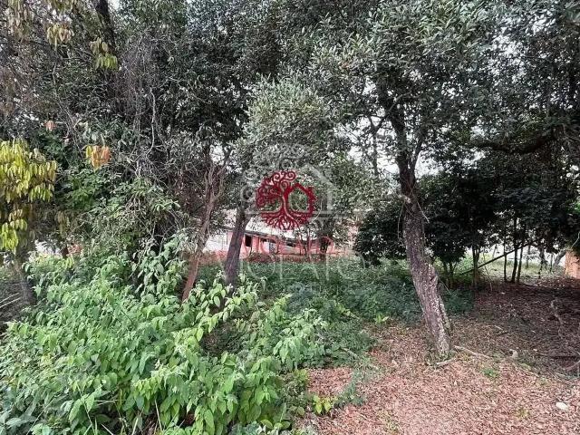 Terreno / Lote para Venda em Lagoa Santa/MG Lagoa Santa Park Residence