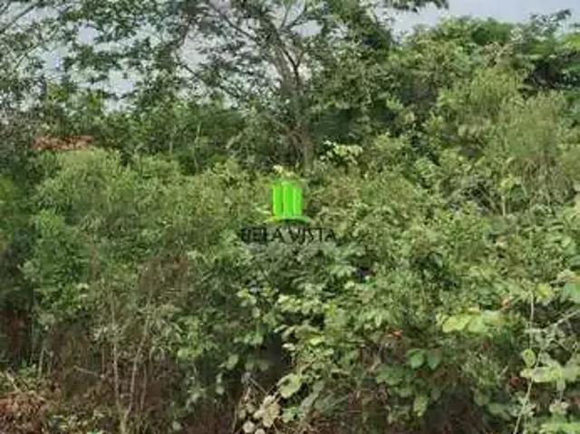 Terreno / Lote para Venda em Lagoa Santa/MG Parque das Borboletas