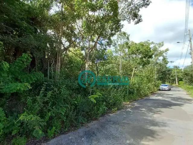 Terreno / Lote para Venda em Lagoa Santa/MG Vale dos Sonhos