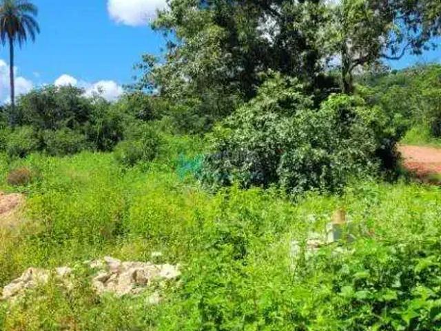 Terreno / Lote para Venda em Lagoa Santa/MG Área Rural de Lagoa Santa
