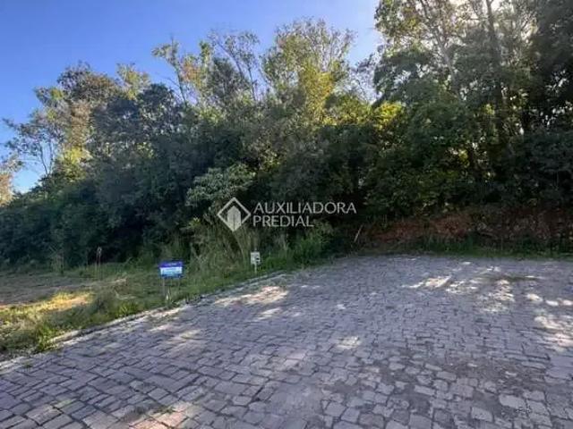 Terreno / Lote para Venda em Lajeado/RS Conventos