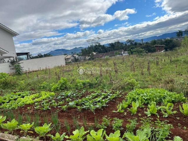 Terreno / Lote para Venda em Lajeado/RS Campestre