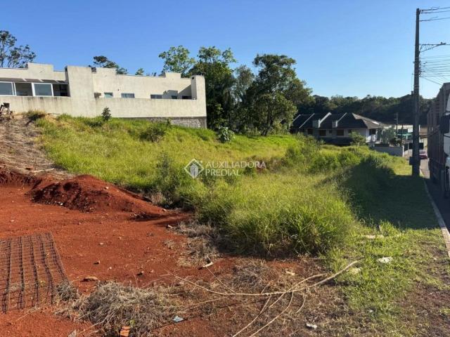 Terreno / Lote para Venda em Lajeado/RS Campestre