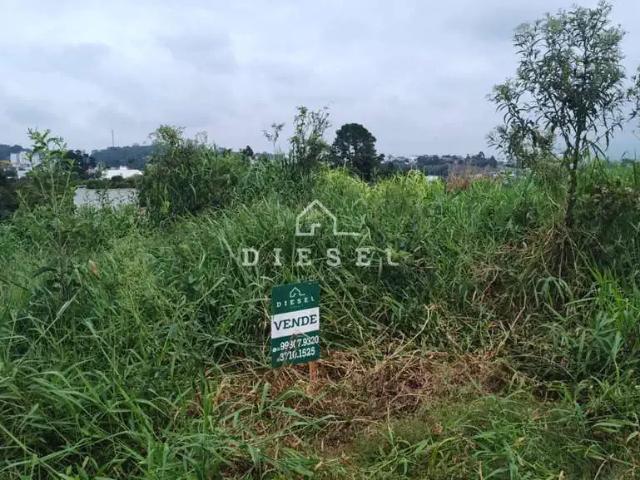 Terreno / Lote para Venda em Lajeado/RS Carneiros