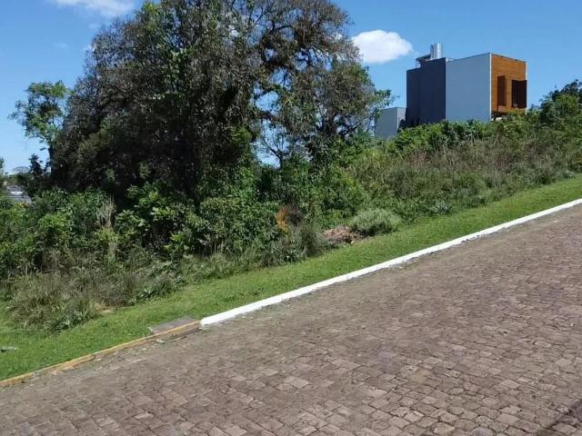 Terreno / Lote para Venda em Lajeado/RS Carneiros