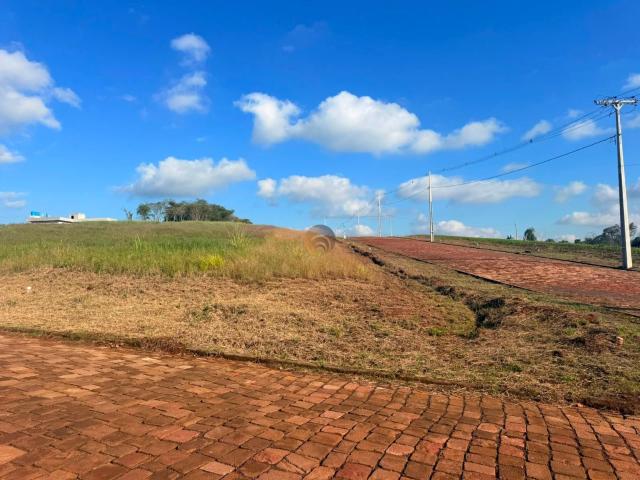 Terreno / Lote para Venda em Lajeado/RS Floresta