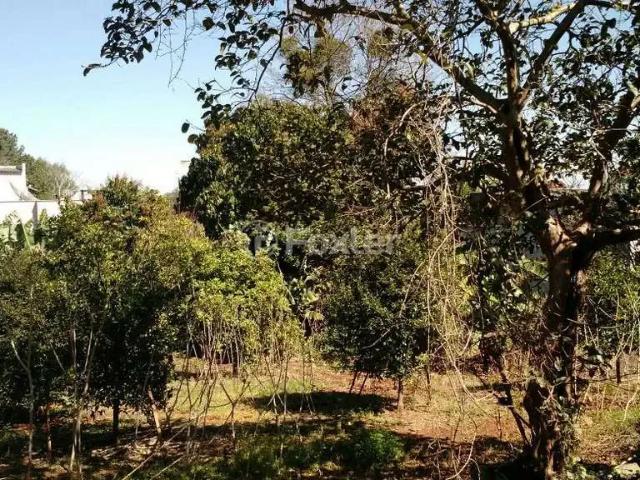 Terreno / Lote para Venda em Lajeado/RS Hidráulica