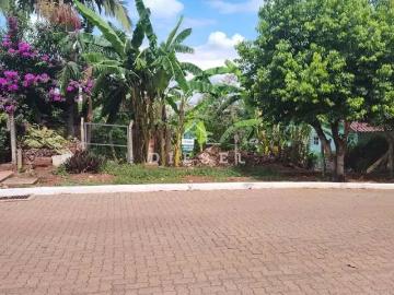 Terreno / Lote para Venda em Lajeado/RS Jardim do Cedro