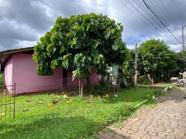 Terreno / Lote para Venda em Lajeado/RS Jardim do Cedro