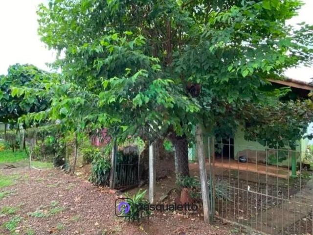 Terreno / Lote para Venda em Lajeado/RS Jardim do Cedro