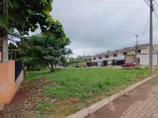 Terreno / Lote para Venda em Lajeado/RS Moinhos D'Água