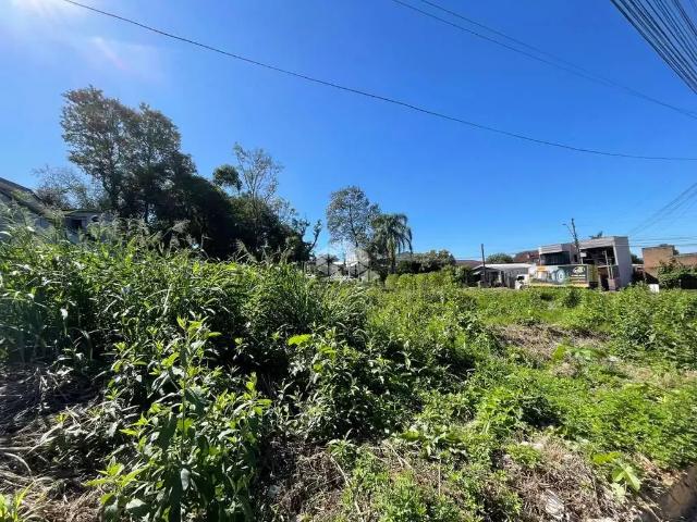 Terreno / Lote para Venda em Lajeado/RS Montanha
