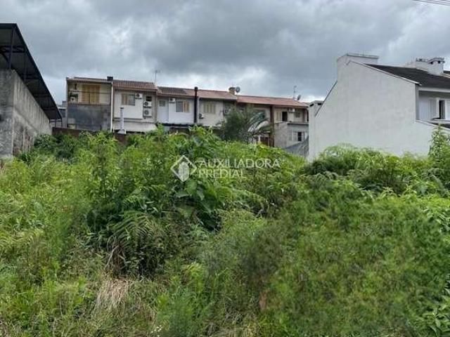 Terreno / Lote para Venda em Lajeado/RS Montanha