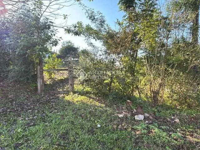 Terreno / Lote para Venda em Lajeado/RS Planalto