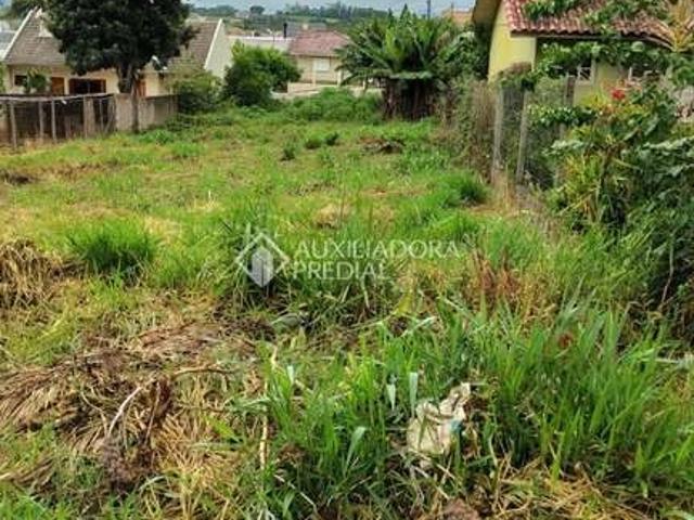 Terreno / Lote para Venda em Lajeado/RS Universitário