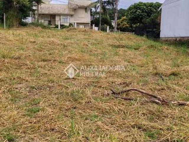 Terreno / Lote para Venda em Lajeado/RS Universitário