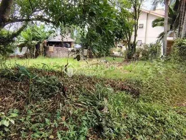 Terreno / Lote para Venda em Lajeado/RS Universitário