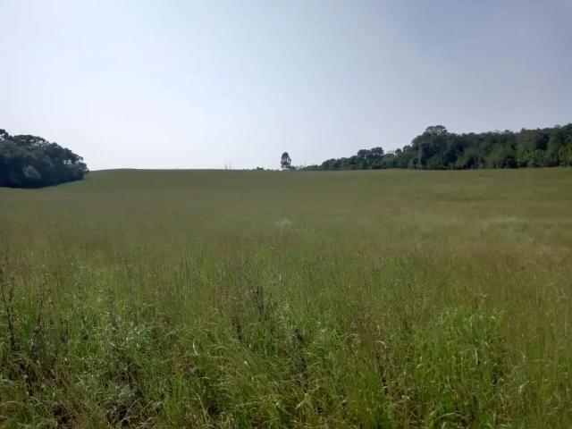 Terreno / Lote para Venda em Lapa/PR Canoeiros