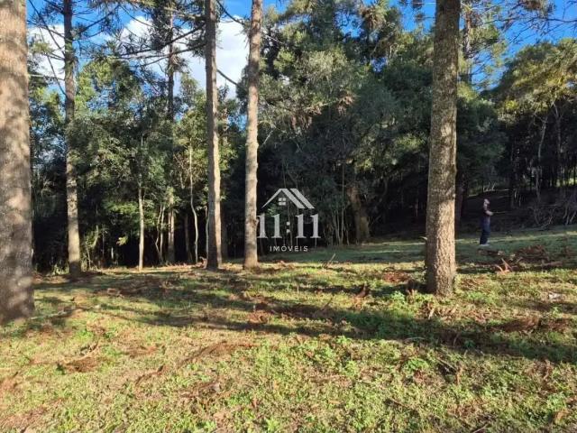 Terreno / Lote para Venda em Lapa/PR Centro