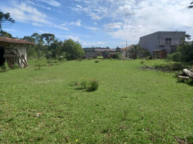 Terreno / Lote para Venda em Lapa/PR Centro