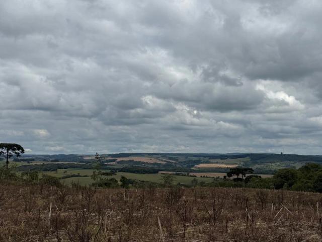 Terreno / Lote para Venda em Lapa/PR Área Rural