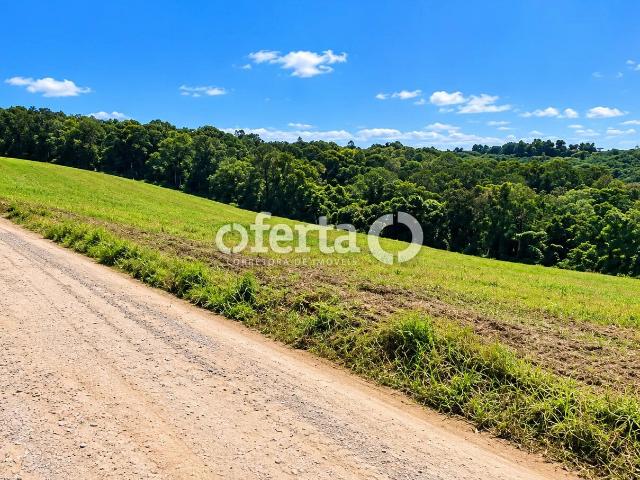 Terreno / Lote para Venda em Lapa/PR Mato Preto