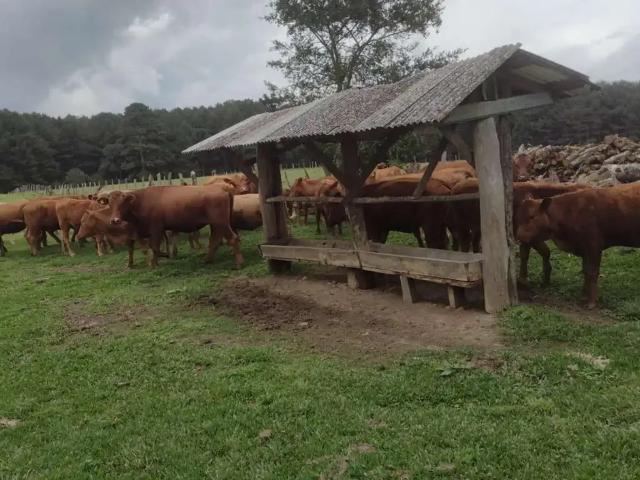 Terreno / Lote para Venda em Lapa/PR Passa Dois