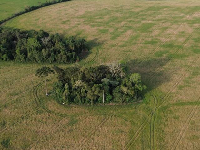 Terreno / Lote para Venda em Lapa/PR Zona Rural