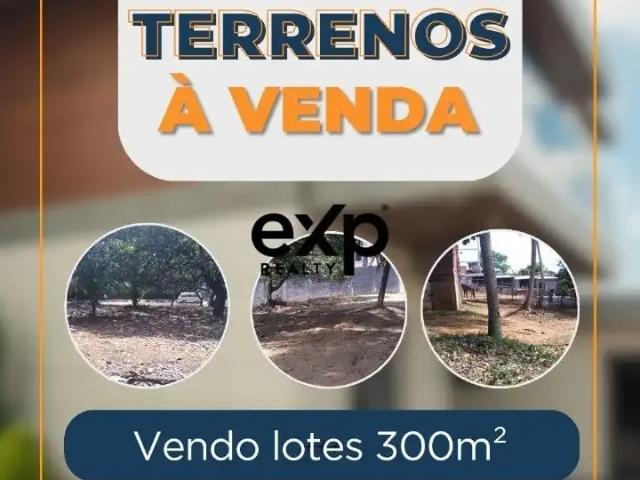 Terreno / Lote para Venda em Lauro de Freitas/BA Caji