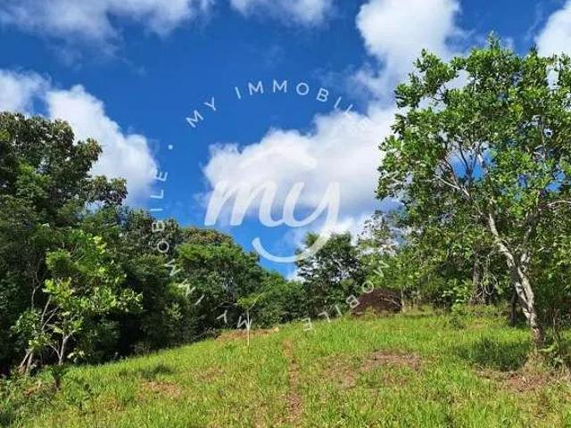 Terreno / Lote para Venda em Lauro de Freitas/BA Jardim Castelao
