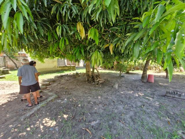 Terreno / Lote para Venda em Lauro de Freitas/BA Pitangueiras