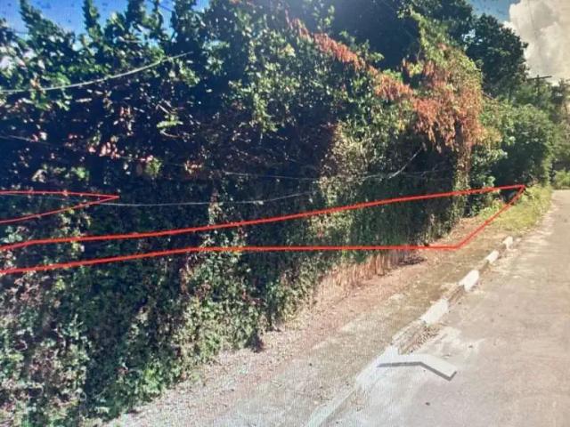 Terreno / Lote para Venda em Lauro de Freitas/BA Pitangueiras