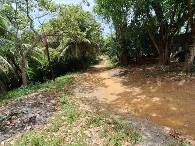 Terreno / Lote para Venda em Lauro de Freitas/BA Vida Nova
