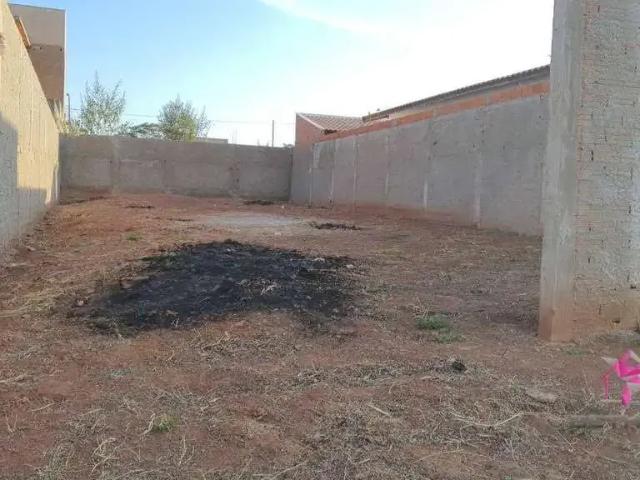 Terreno / Lote para Venda em Leme/SP Parque Alto das Palmeiras