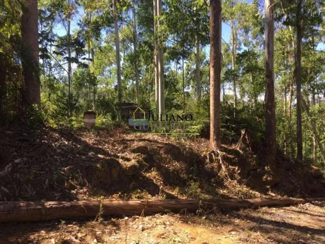 Terreno / Lote para Venda em Leoberto Leal/SC Centro