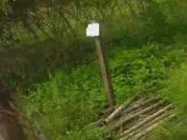 Terreno / Lote para Venda em Lima Duarte/MG Centro