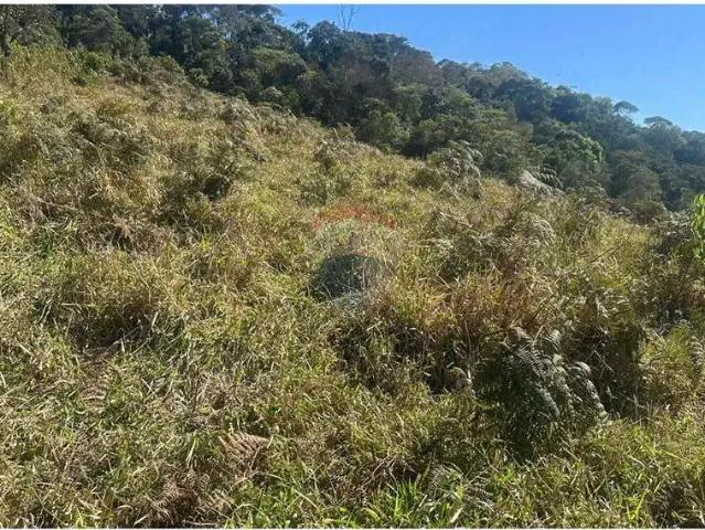 Terreno / Lote para Venda em Lima Duarte/MG Centro